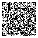 QR код "New style"