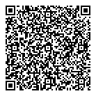 QR код "Snow flake"