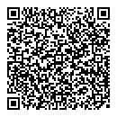 QR код "Алиса"