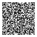 QR код "Lego"