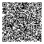 QR код "Сияние севера"