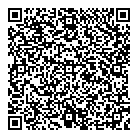 QR код "Nightled"