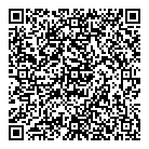 QR код "Пульсар"