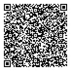 QR код "Вулкан"