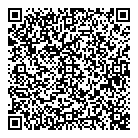 QR код "Domino"