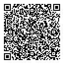 QR код "Pay.Travel"