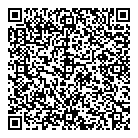 QR код "Domino"