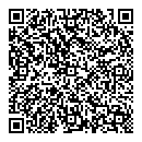 QR код "Zeppelin"