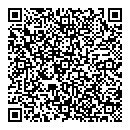 QR код "Past Perfect"