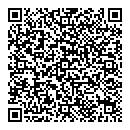 QR код "Дирижабль"