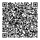 QR код "Lady Gaga"