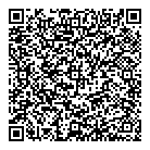 QR код "ДВС Групп"