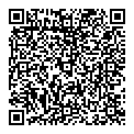 QR код "Solo"