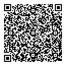 QR код "Алиса"