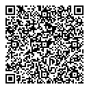 QR код "Звездный"
