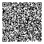 QR код "Профессионал"