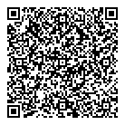 QR код "Аэлита"