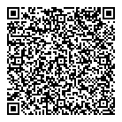 QR код "Сатурн"