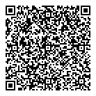 QR код "Фрисби"