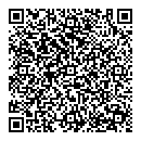 QR код "Лион"