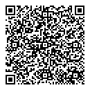 QR код "Блеск"