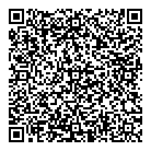 QR код "Ночной"
