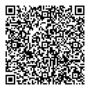 QR код "Бис"