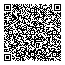 QR код "City classic"