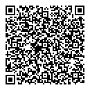 QR код "Remix"