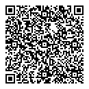 QR код "Detroit"