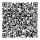 QR код "Блеск"