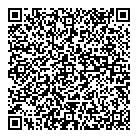 QR код "Carlight"