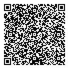 QR код "Метеорит"