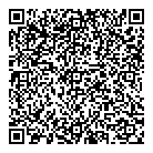 QR код "Aero"