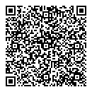 QR код "Блеск"