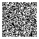 QR код "Professor-52.ru"