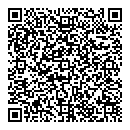 QR код "Megapolis"