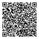 QR код "Лавина"