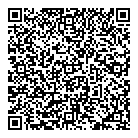QR код "33 пингвина"
