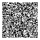 QR код "Тесли"