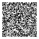 QR код "Созвездие"