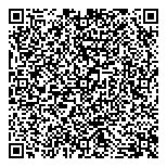 QR код "Звёздный"