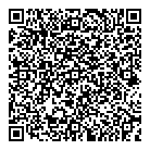 QR код "Vanicon"
