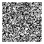 QR код "Метеорит"