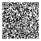 QR код "Lace"