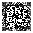 QR код "Феникс"
