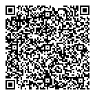 QR код "Сияние севера"