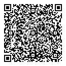 QR код "Qiwi"