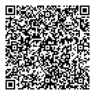 QR код "Профессионал"