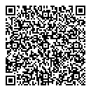 QR код "Венеция"